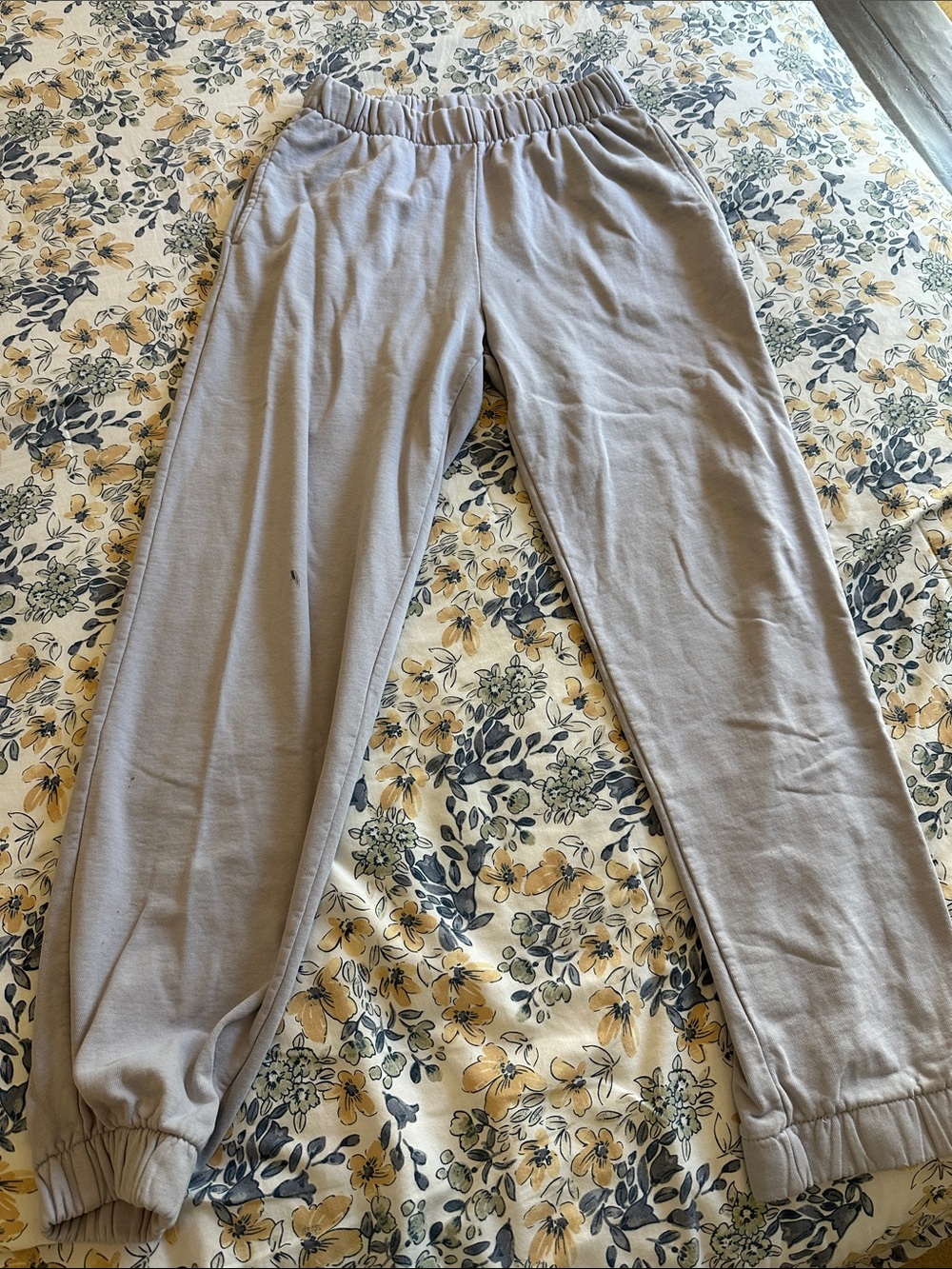 Brandy Melville Light Taupe Elastic Waist Joggers